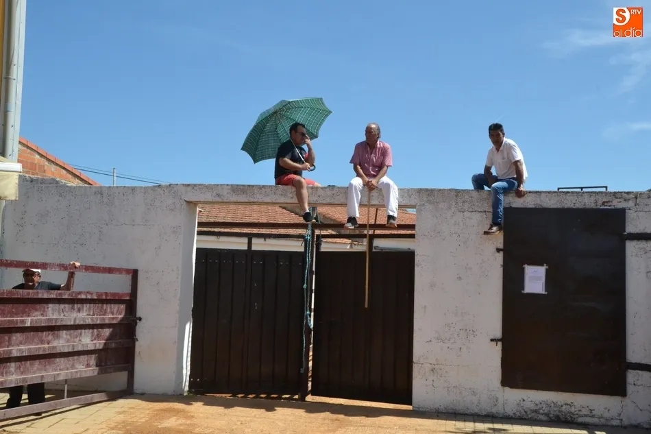 Foto 5 - Fugaz y limpio encierro a caballo en Mart&iacute;n de Yeltes con una buena asistencia de p&uacute;blico  