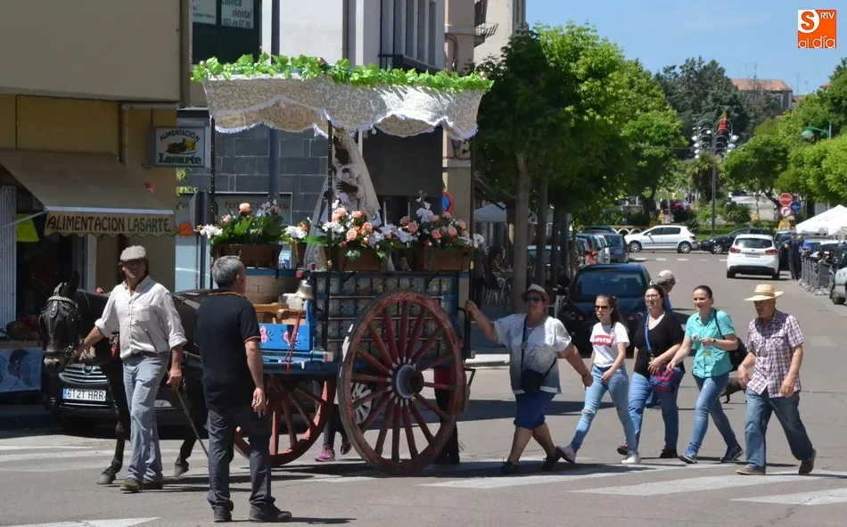 Foto 10 - Los romeros traen a la Virgen Morena a todo ritmo  