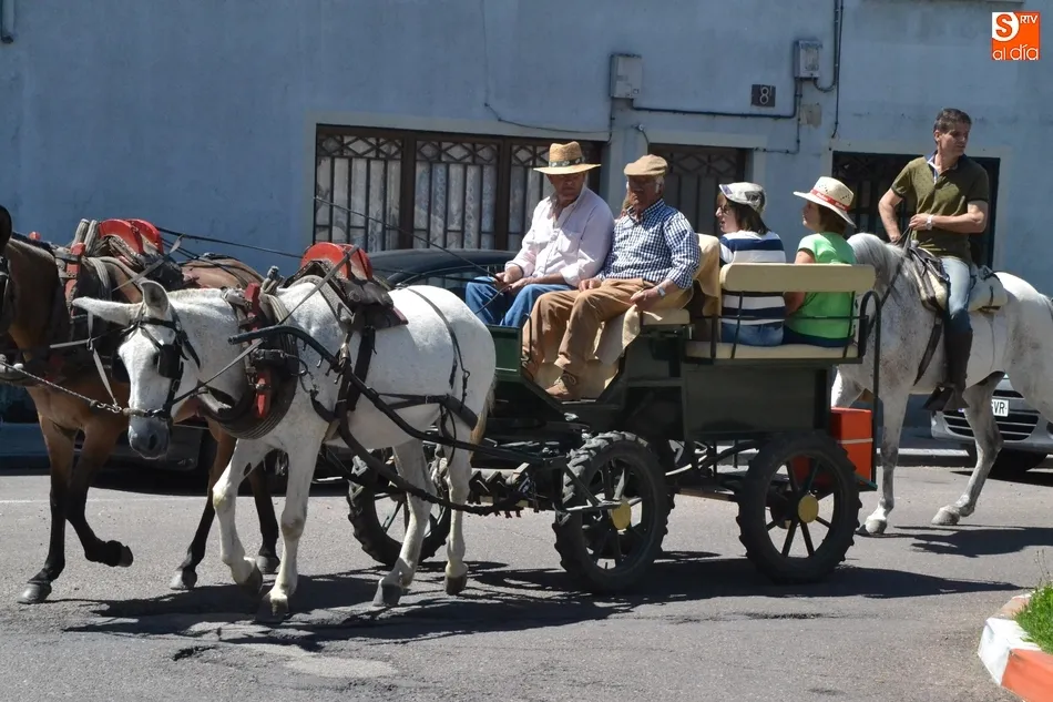 Foto 6 - Los romeros traen a la Virgen Morena a todo ritmo  