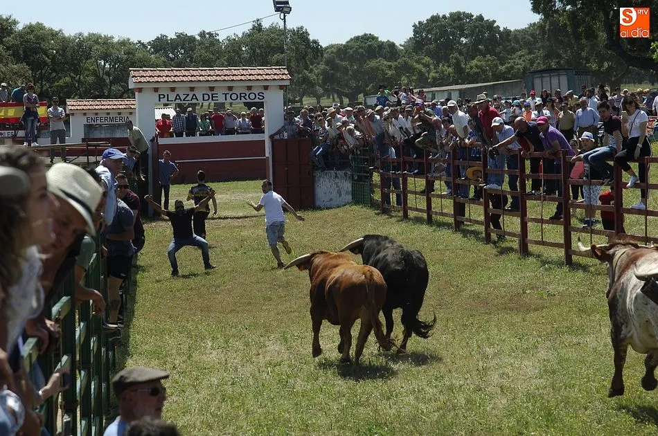 Foto 6 - Rapid&iacute;simo encierro a caballo en Campillo de Azaba  