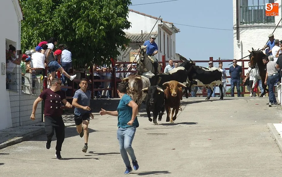 Foto 3 - Rapid&iacute;simo encierro a caballo en Campillo de Azaba  