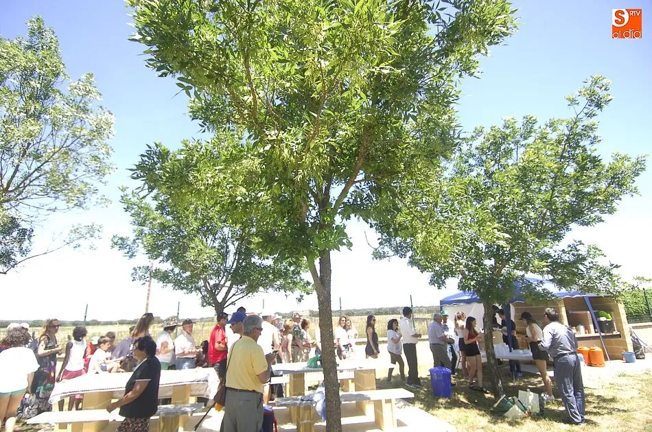 Foto 2 - Campillo de Azaba degusta paella para cerrar sus fiestas en honor a San Antonio  