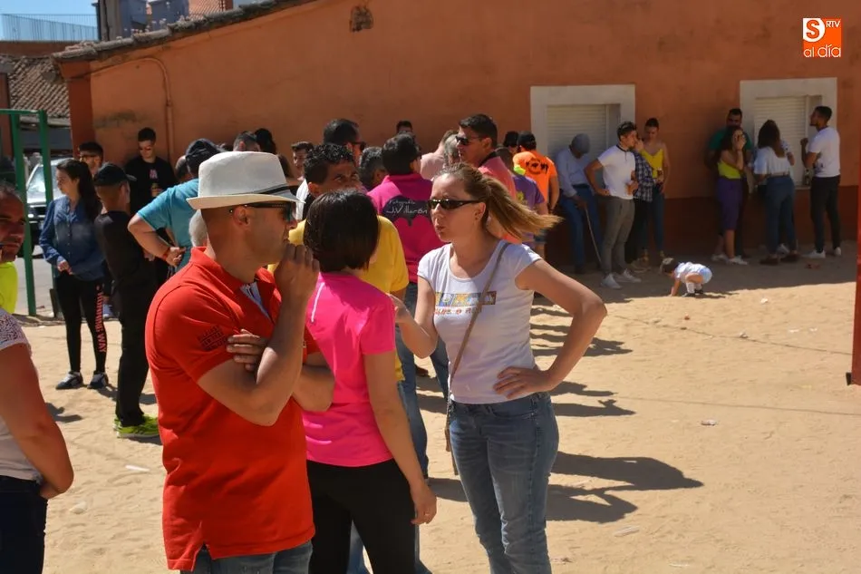 Foto 11 - Encierro urbano con toro y toro de caj&oacute;n, protagonistas del &uacute;ltimo d&iacute;a de fiestas de Topas  