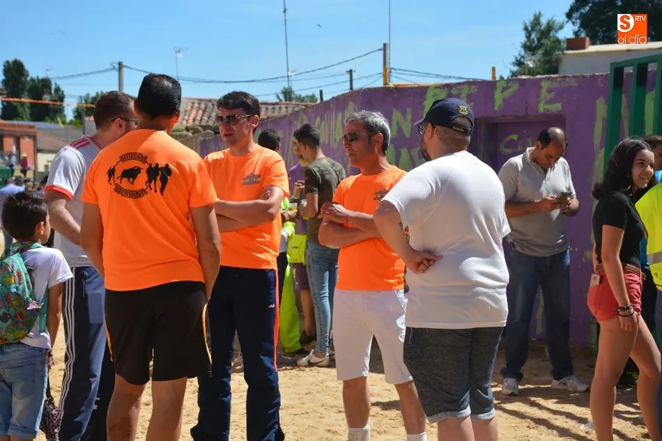 Foto 7 - Encierro urbano con toro y toro de caj&oacute;n, protagonistas del &uacute;ltimo d&iacute;a de fiestas de Topas  