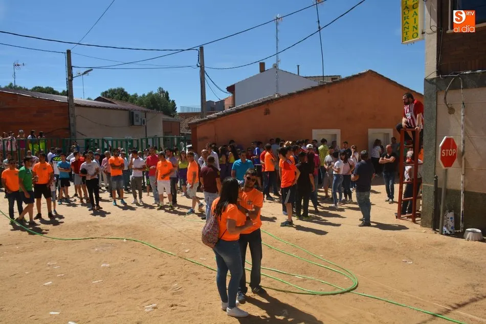 Foto 10 - Encierro urbano con toro y toro de caj&oacute;n, protagonistas del &uacute;ltimo d&iacute;a de fiestas de Topas  
