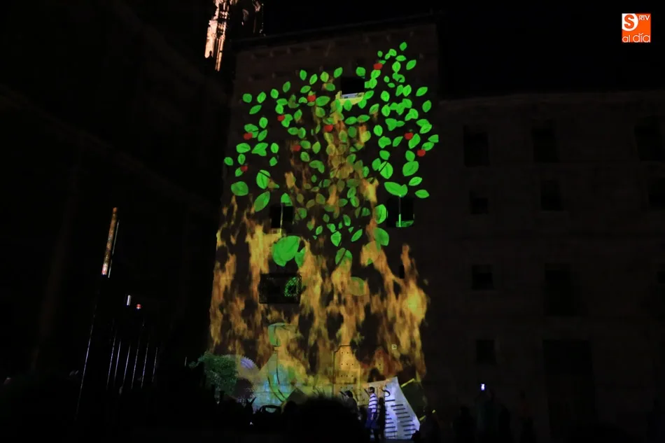 Foto 3 - Salamanca despide el Festival de Luz y Vanguardias consagrando la ciudad como un referente...