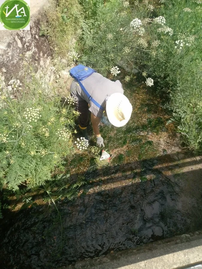 Foto 10 - Los vecinos participan en &lsquo;1m2 por la naturaleza&rsquo; limpiando el arroyo