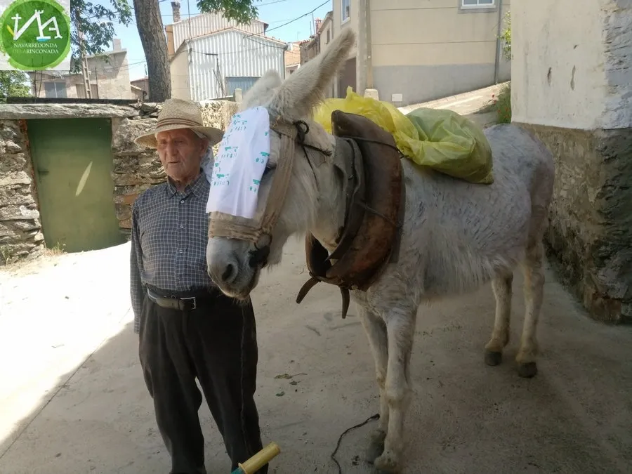 Foto 7 - Los vecinos participan en &lsquo;1m2 por la naturaleza&rsquo; limpiando el arroyo
