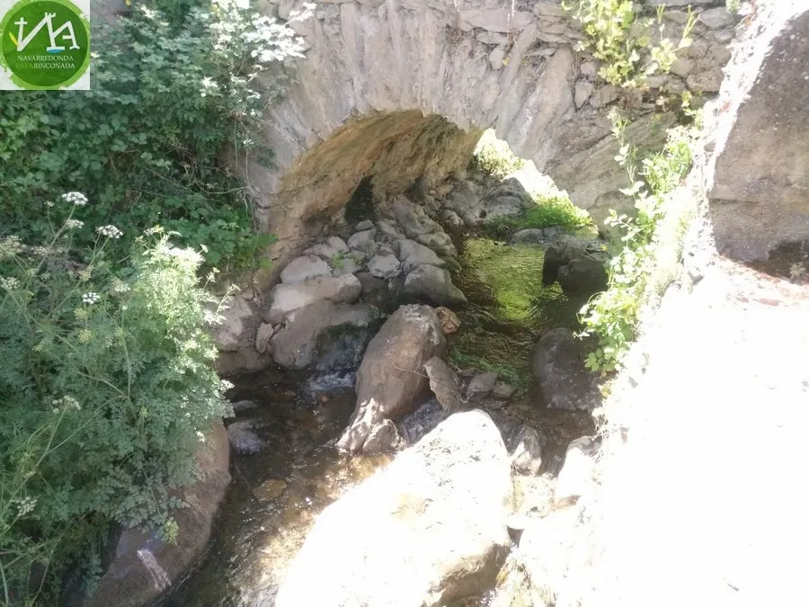 Foto 6 - Los vecinos participan en &lsquo;1m2 por la naturaleza&rsquo; limpiando el arroyo