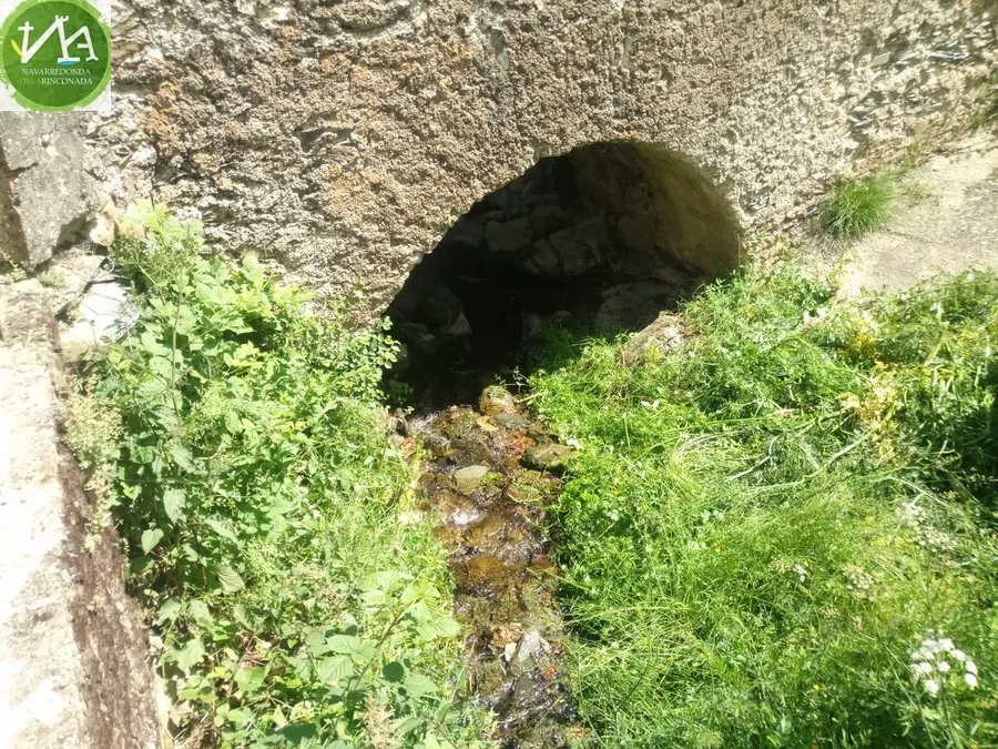 Foto 5 - Los vecinos participan en &lsquo;1m2 por la naturaleza&rsquo; limpiando el arroyo