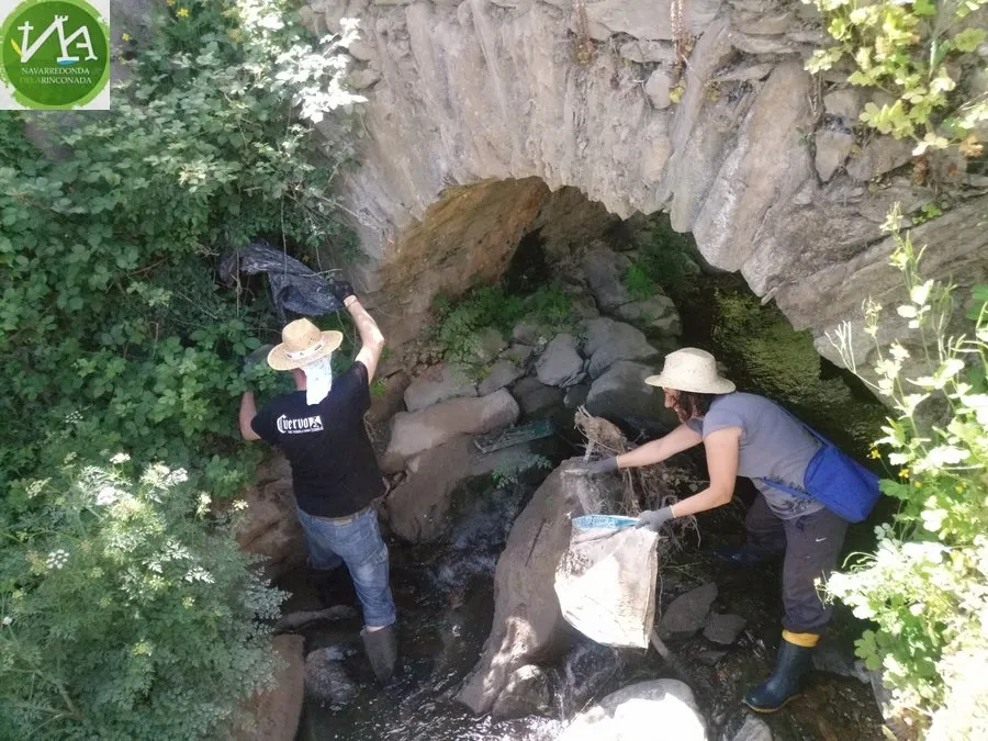 Foto 4 - Los vecinos participan en &lsquo;1m2 por la naturaleza&rsquo; limpiando el arroyo