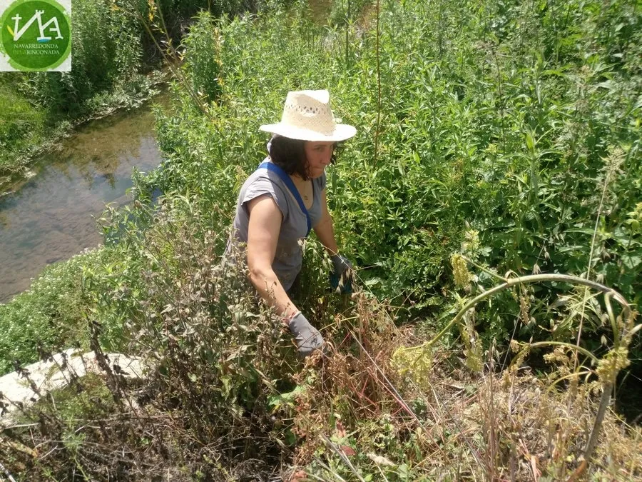 Foto 3 - Los vecinos participan en &lsquo;1m2 por la naturaleza&rsquo; limpiando el arroyo