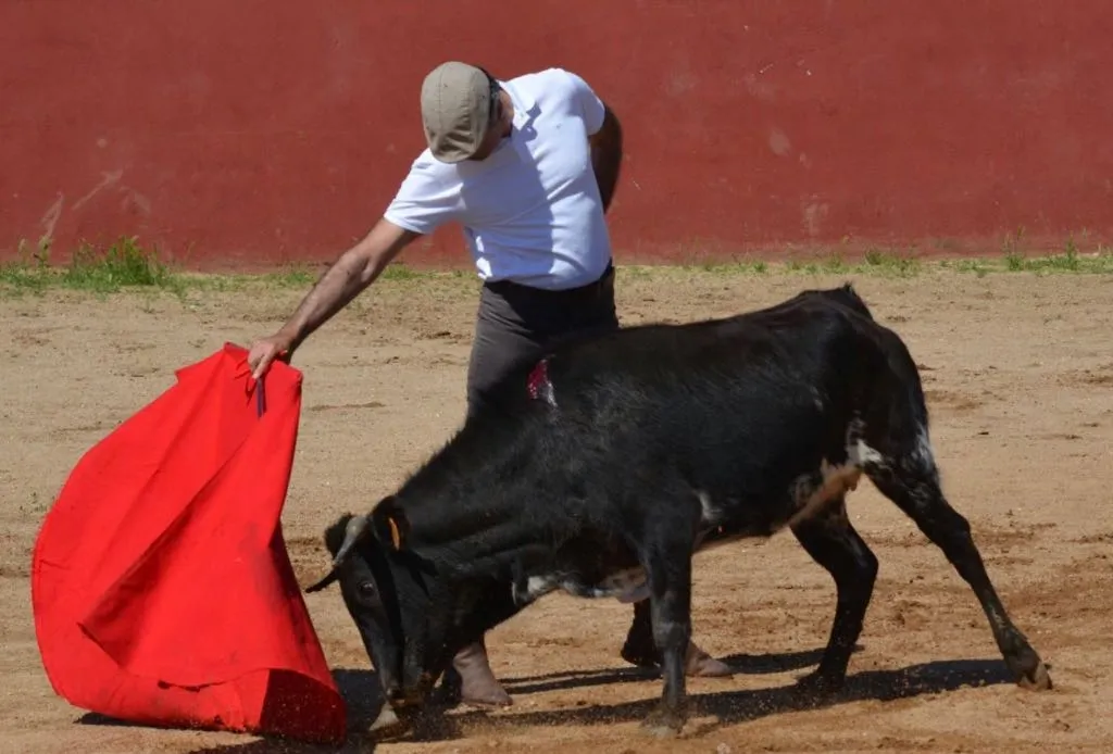 Foto 5 - La Pe&ntilde;a Jos&eacute; Ram&oacute;n Mart&iacute;n celebra su fiesta anual con Manuel Diosleguarde como invitado...