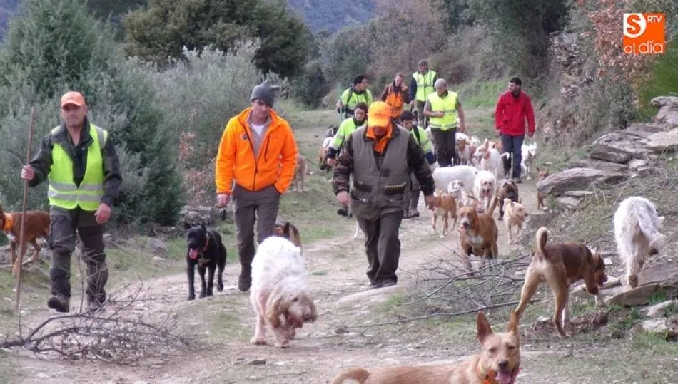 La caza de jabalí arranca el 23 de septiembre