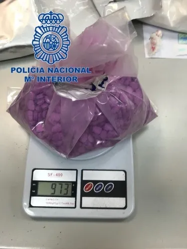Foto 3 - Desmantelados tres laboratorios clandestinos de medicamentos ilegales con 29 detenidos