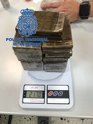 Foto 2 - Desmantelados tres laboratorios clandestinos de medicamentos ilegales con 29 detenidos