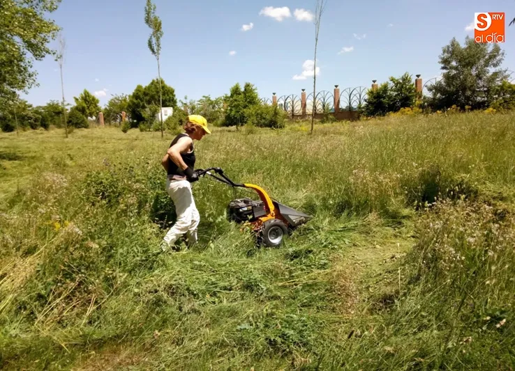 Foto 3 - En marcha el desbroce y limpieza del parque El Inestal