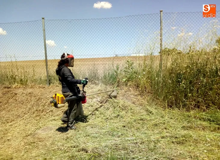 Foto 2 - En marcha el desbroce y limpieza del parque El Inestal