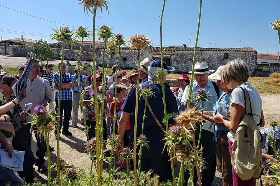 Participantes en la pasada edición de Juzbado Botánico.