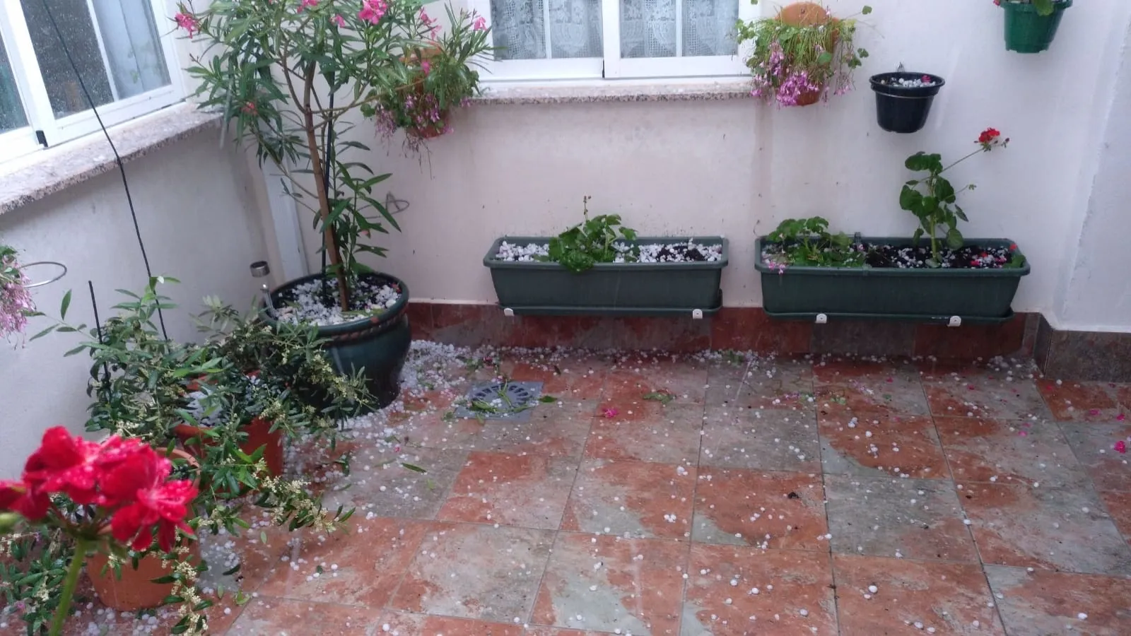 Foto 5 - Una fuerte granizada provoca da&ntilde;os en la zona oeste de Las Villas