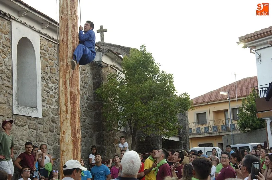 Foto 7 - Esforzado arranque de las fiestas de El Payo al resistirse la viga a entrar en el pozo preparado  