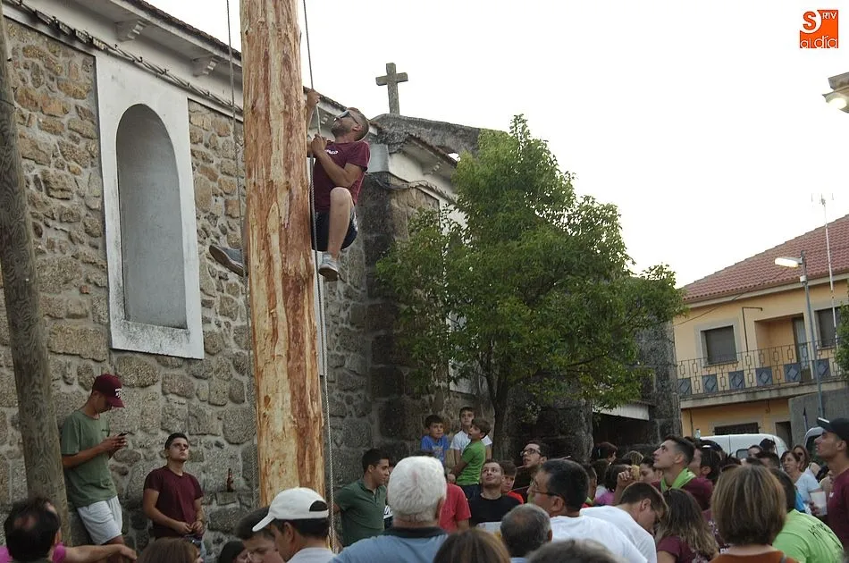 Foto 6 - Esforzado arranque de las fiestas de El Payo al resistirse la viga a entrar en el pozo preparado  
