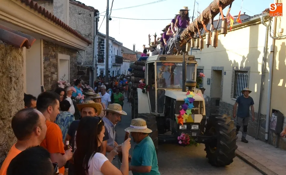 Quintos de varias generaciones arropan a los de 2018 para izar el pino en Robleda  
