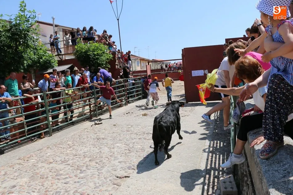 Foto 7 - El II Toro de Caj&oacute;n pone el coraz&oacute;n en un pu&ntilde;o a varias personas en Hinojosa tras salir&nbsp;al...
