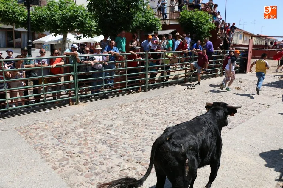 Foto 6 - El II Toro de Caj&oacute;n pone el coraz&oacute;n en un pu&ntilde;o a varias personas en Hinojosa tras salir&nbsp;al...