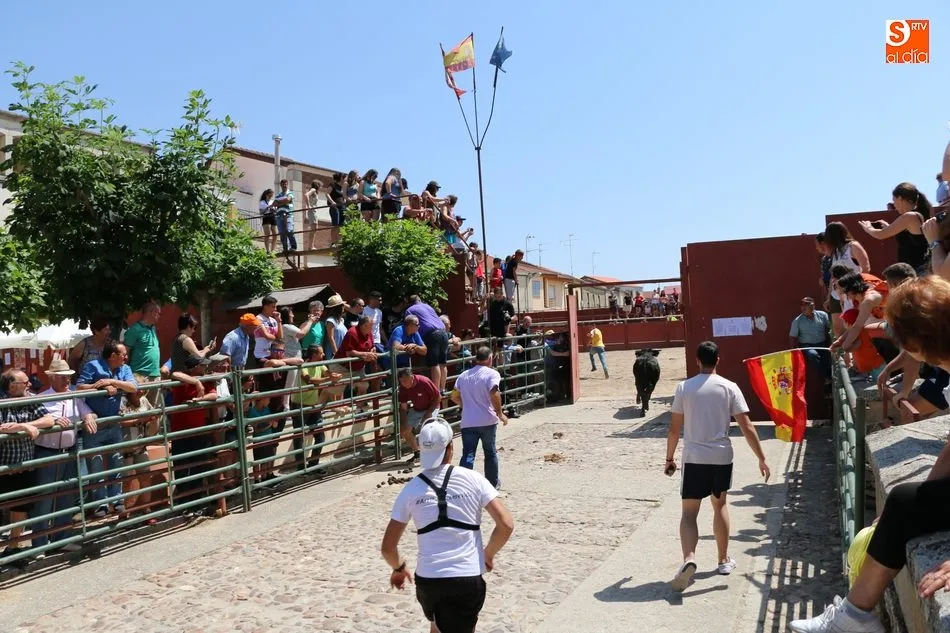 Foto 5 - El II Toro de Caj&oacute;n pone el coraz&oacute;n en un pu&ntilde;o a varias personas en Hinojosa tras salir&nbsp;al...