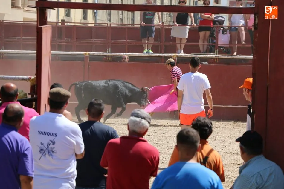 Foto 3 - El II Toro de Caj&oacute;n pone el coraz&oacute;n en un pu&ntilde;o a varias personas en Hinojosa tras salir&nbsp;al...
