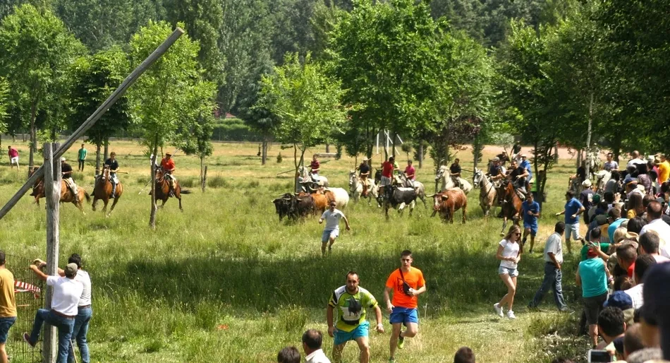 Foto 11 - Largo, vistoso y limpio primer encierro a caballo en Navasfr&iacute;as  