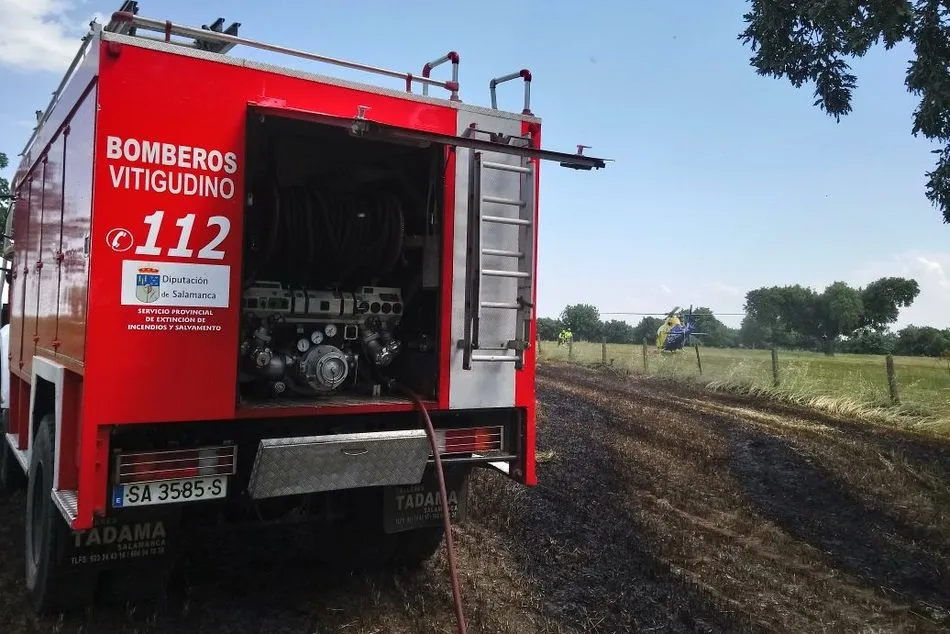Foto 4 - Sofocado un incendio en la finca Hernandinos de Olmedo de Camaces  