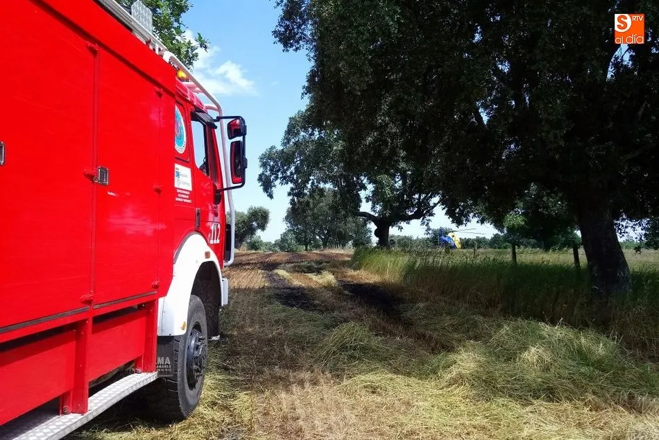 Foto 3 - Sofocado un incendio en la finca Hernandinos de Olmedo de Camaces  