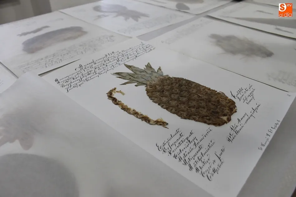 Foto 6 - Respaldo un&aacute;nime para que el Centro Bot&aacute;nico de Juzbado &ldquo;sea una realidad&rdquo;