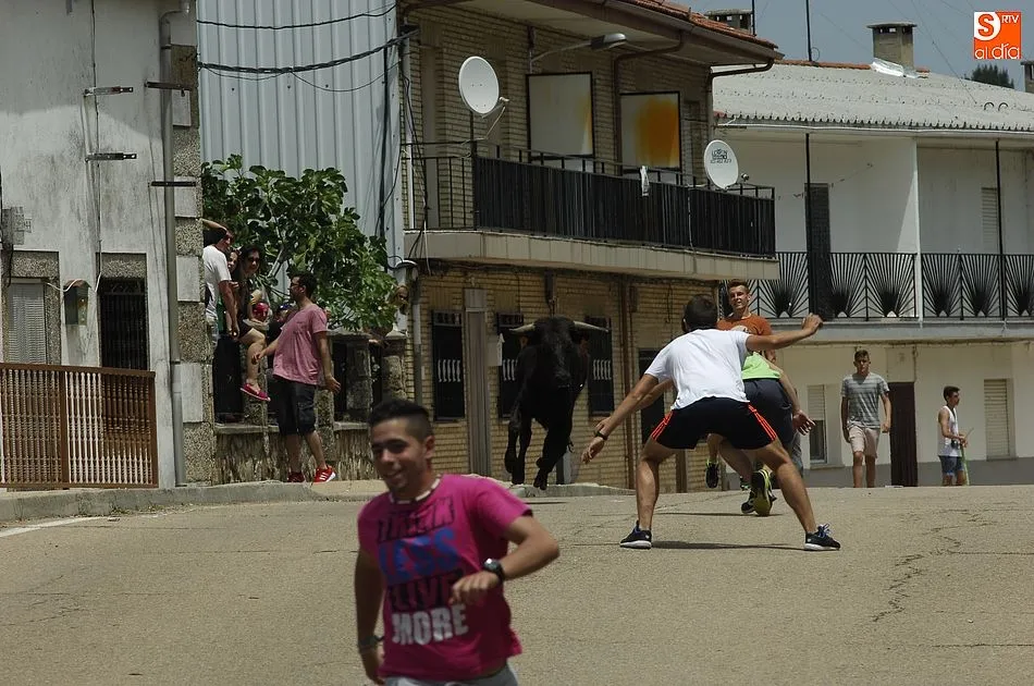 Foto 7 - Los j&oacute;venes se lo pasan en grande con la sesi&oacute;n callejera de vacas de El Payo  
