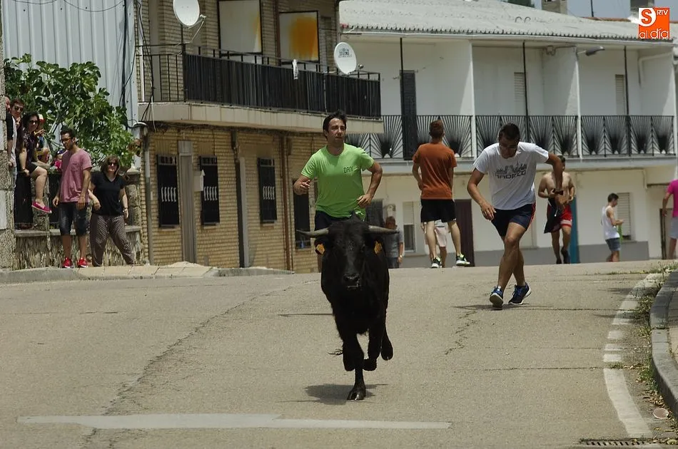 Foto 5 - Los j&oacute;venes se lo pasan en grande con la sesi&oacute;n callejera de vacas de El Payo  