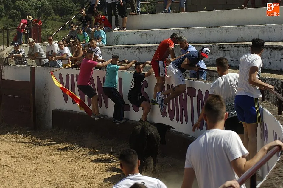Foto 7 - Robleda disfruta de un encierro a caballo r&aacute;pido y compacto  