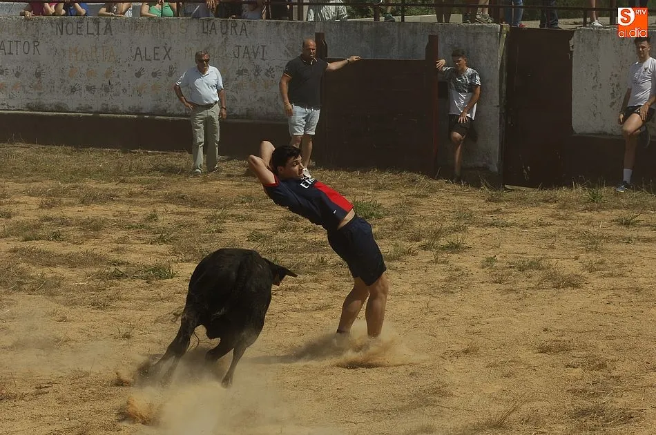 Foto 6 - Robleda disfruta de un encierro a caballo r&aacute;pido y compacto  