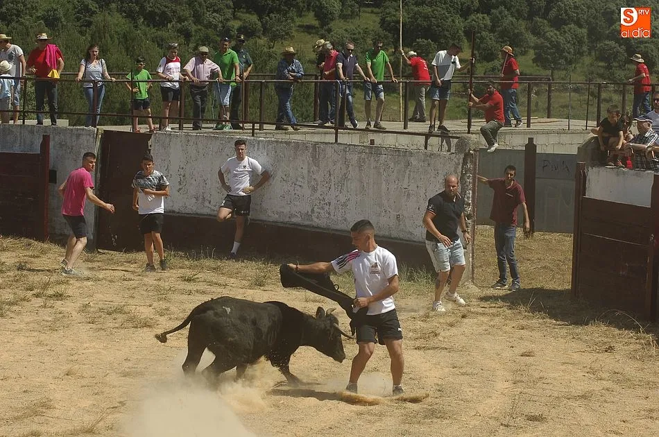 Foto 3 - Robleda disfruta de un encierro a caballo r&aacute;pido y compacto  