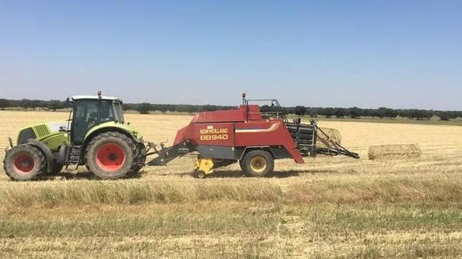 La cosecha arrancará en el sur de la Comunidad