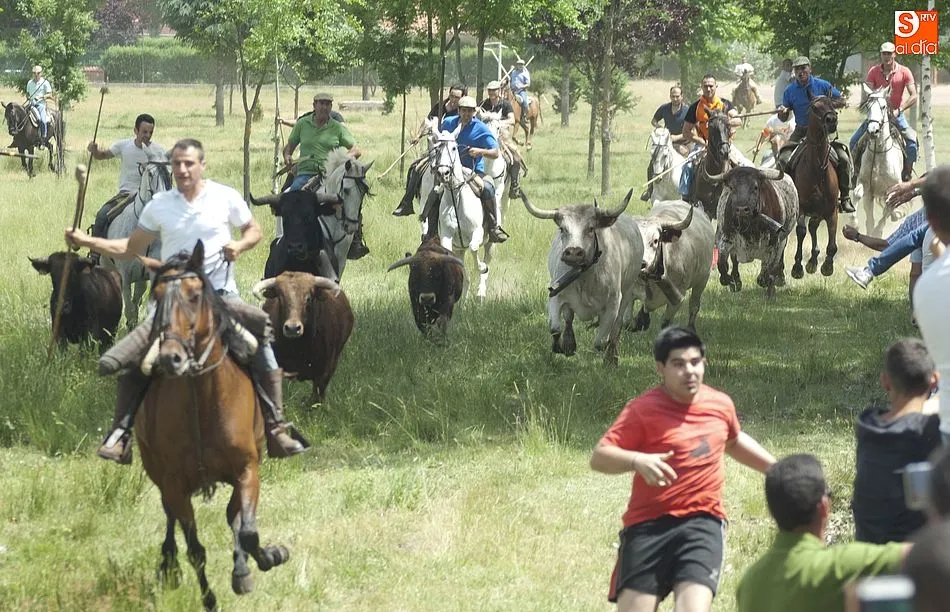 Los caballistas trabajaron intensamente para conducir a la manada | Fotos Adrián Martín
