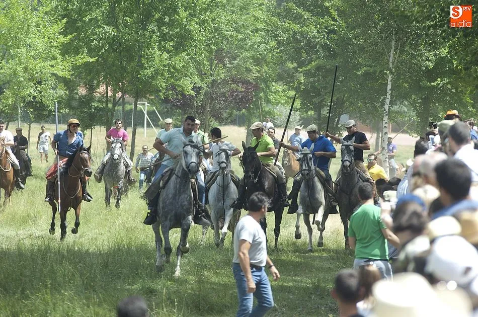 Foto 8 - Dos vacas rezagadas animan el encierro a caballo dominical de Navasfr&iacute;as  