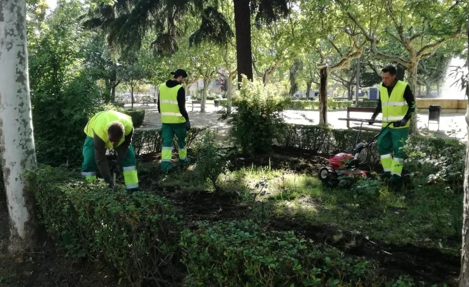Foto 10 - Los alumnos de &lsquo;Emplea Mir&oacute;briga&rsquo; crean desde cero una nueva zona ajardinada  