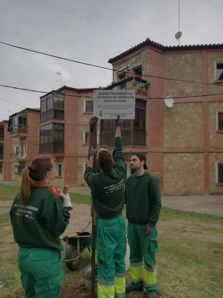 Foto 8 - Los alumnos de &lsquo;Emplea Mir&oacute;briga&rsquo; crean desde cero una nueva zona ajardinada  