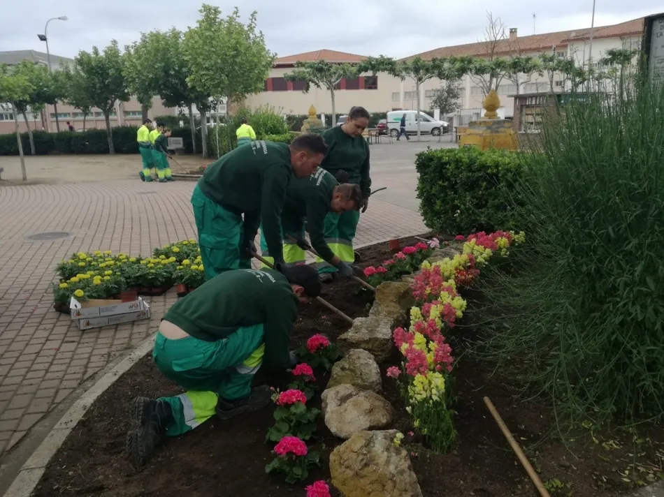 Foto 6 - Los alumnos de &lsquo;Emplea Mir&oacute;briga&rsquo; crean desde cero una nueva zona ajardinada  