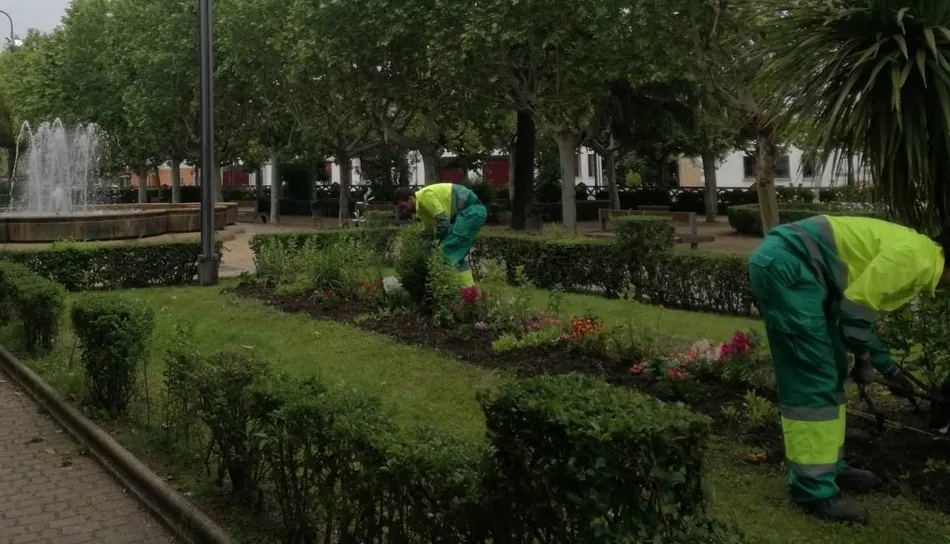 Foto 4 - Los alumnos de &lsquo;Emplea Mir&oacute;briga&rsquo; crean desde cero una nueva zona ajardinada  