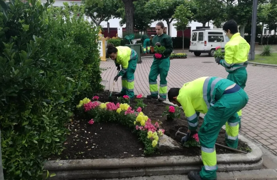 Foto 5 - Los alumnos de &lsquo;Emplea Mir&oacute;briga&rsquo; crean desde cero una nueva zona ajardinada  
