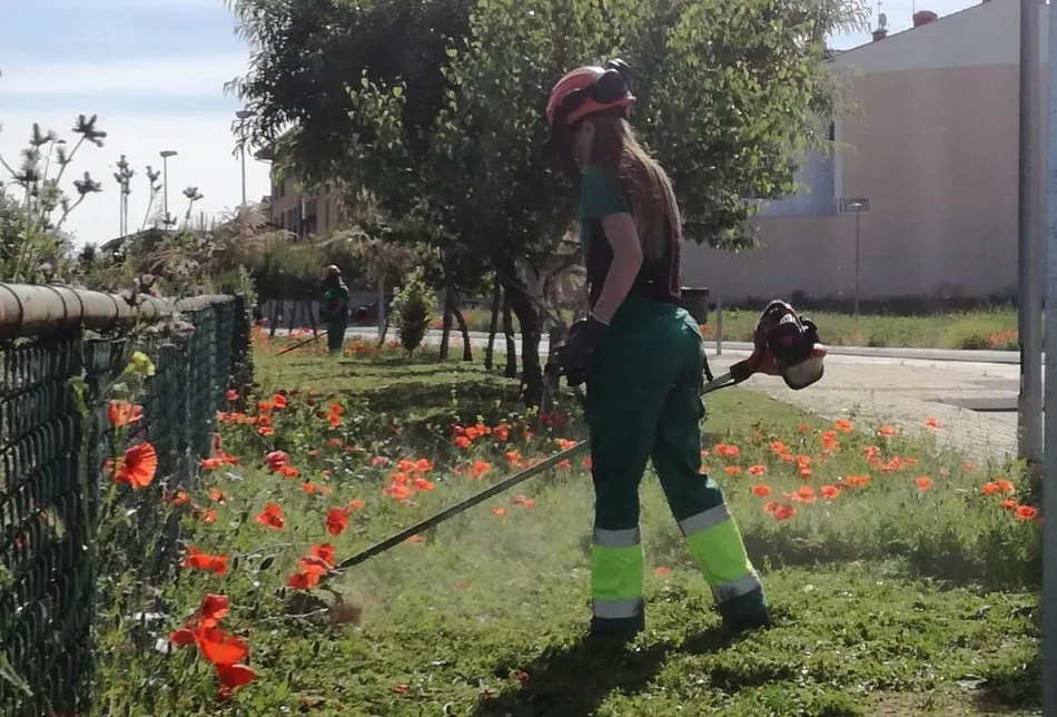 Foto 3 - Los alumnos de &lsquo;Emplea Mir&oacute;briga&rsquo; crean desde cero una nueva zona ajardinada  