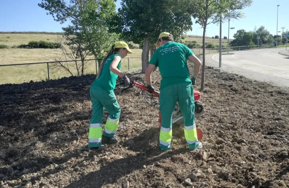 Foto 2 - Los alumnos de &lsquo;Emplea Mir&oacute;briga&rsquo; crean desde cero una nueva zona ajardinada  